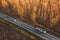 Aerial view of traffic on road through autumnal cottonwood forest