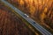 Aerial view of traffic on road through autumnal cottonwood forest