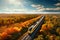 Aerial view of train and railroad among autumn forests, bird\\\'s eye view