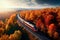 Aerial view of train and railroad among autumn forests, bird\\\'s eye view