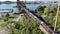 Aerial View of a Train on a Railroad Bridge Crossing the Delaware River