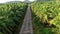 Aerial view traveling on bike on road in tropical nature