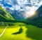 Aerial view of tree in green alpine meadows in mountains