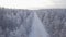 Aerial view of tree tops of snow-covered forest.