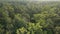 Aerial view of trees in the forest. Ukraine