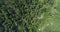 aerial view trees top view. early summer in forest, maritime pines in the hinterland of Sicily. Dry meadow and difficult