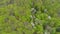 Aerial view of treetops, forest and meadows