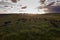 Aerial view of a troop of steers for export,