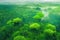 Aerial view of tropical forest filled with lots of green trees. Generative AI