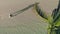 Aerial view of tropical island beach. Coconut palm tree on washing sea waves