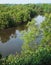 Aerial view, tropical mangrove wetland