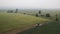 Aerial view truck carries freshly cut feed crop to farm on country road across field. Farmers will use plants for animal