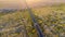 Aerial view of a truck riding on highway with plants around