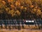 Aerial view of truck on road through forest in autumn