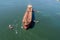 Aerial view of tug boat assisting big oil tanker. Large oil tanker ship enters the port escorted by tugboats