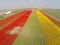 Aerial view on tulip fields in Holland