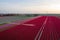 Aerial view of tulip planted fields in the Dronten area. Spring in the Netherlands