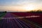 Aerial view of tulip planted fields in the Dronten area. Spring in the Netherlands