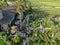 Aerial view of V. Sattui Winery and retail store, St. Helena, Napa Valley, California, USA