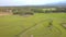 Aerial View Valley Landscape with Rice Fields Grazing Buffaloes