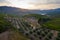 Aerial view of the valley, olive fields and Embalse de Forata reservoir during sunset. Summer in Spain