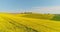 Aerial View of Various Agriculture Fields Blooming. Rural Countryside Scene.