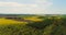 Aerial View of Various Agriculture Fields Blooming. Rural Countryside Scene.