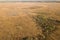 Aerial view of Vasenieki marsh and ponds in sunny autumn evening, Latvia