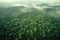 Aerial View Of Vast Green Forest. Earth Day. Generative AI