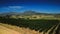 Aerial view of a vast vineyard in the countryside of Stellenbosch in South Africa