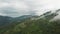 Aerial view of vegetable farm