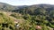 Aerial view of the verdant hills with trees in Napa Valley during summer season.