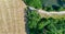 Aerial view from the vertical with bushes, trees and shrubs next to a meadow with furrows of the farm equipment and a pond