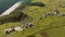 Aerial view of a very slowly and short movement to the right over a forest and a small town