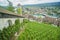 Aerial view of vineyard and beautiful scenic around Munot