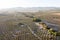 Aerial view of a vineyard in the countryside of Andalusia, Spain