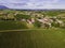 Aerial view of a vineyard with grape orchards in countryside at sunset, Ventosa, Lisbon, Portugal