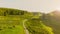 Aerial View: Vineyard landscape - Sunrise