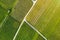 Aerial view of a vineyard plantation in late afternoon lights in Jenins, Switzerland, Europe, drone shot