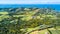 Aerial view on a vineyard on the shore of sunny harbour with residential suburbs on the background. Waiheke Island, Auckland, New