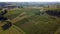 Aerial view, Vineyard Sunrise in summer, Sainte Croix du Mont, Bordeaux Vineyard, Gironde, Aquitaine