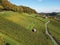 Aerial view of Vineyard in Weinberg during an autumn