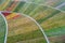 Aerial view of vineyards in autumn