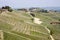 Aerial view of the vineyards of Barbaresco, Piedmont.