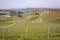 Aerial view of the vineyards of Barbaresco, Piedmont.