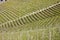 Aerial view of the vineyards of Barbaresco, Piedmont.