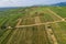 Aerial view of vineyards fields structure by Mittelwihr in Summer