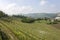 Aerial view of the vineyards of Langhe, Piedmont.