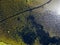 Aerial view of water lilies seen from above. Background of aquatic plants. Lake Scutari, Skadar National Park Montenegro