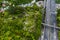 Aerial View Of Wellington Urban Motorway And Hillside Graveyard.